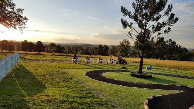 Beans and Stikkies